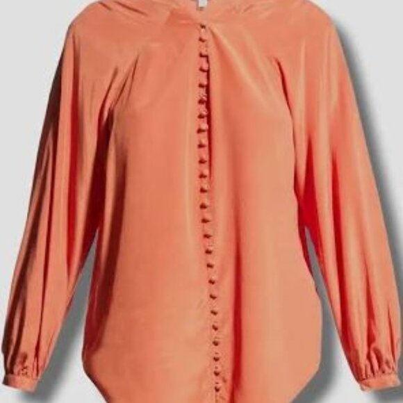 Joie Shariana Long Sleeve Silk Top In Warm Spice Size S - Picture 6 of 13